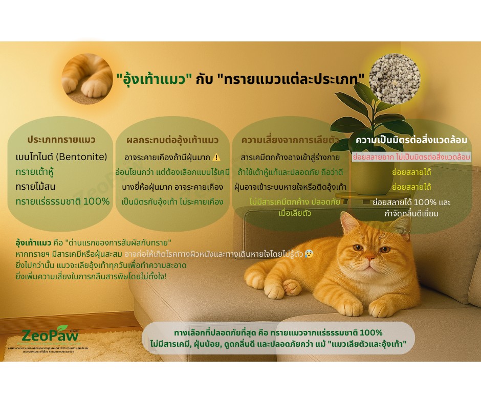 คำแนะนำเพิ่มเติมเกี่ยวกับทรายแมว